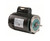 164361C | CENTURY MOTORS | Pool and Spa Pump Motor: Face Mounting, 3/4 HP, 1.4 Motor Service Factor, 115/230V AC, CCWSE