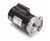 B2846 | CENTURY MOTORS | Square Flange Pool Pump Motor: Face Mounting, 1/2 HP, 1.95 Motor Service Factor, 115/230V AC