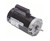 B2979 | CENTURY MOTORS | Pool and Spa Pump Motor: Face Mounting, 2, 1/4 HP, 1.2 Motor Service Factor, 230V AC, CCWSE