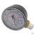 Pentair/Sta-Rite | GAUGE 2"  BOTM MOUNT 1/4" | 15060-0000T