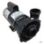 Waterway Plastics | WW Exec 56 Frame 2" Pump Complete,5HP,230V,2-Spd (OEM) | 3722021-1D