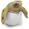 Sea Turtle Egg Hatchling (blue) - WW-354AB