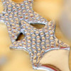 Starfish Sea Life Theme Aluminum Bottle Opener DETAIL