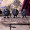 Nemesis Three Wise Ravens