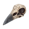 Nemesis Edgar's Raven Skull