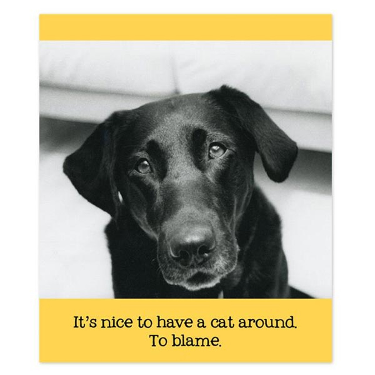 dog sayings