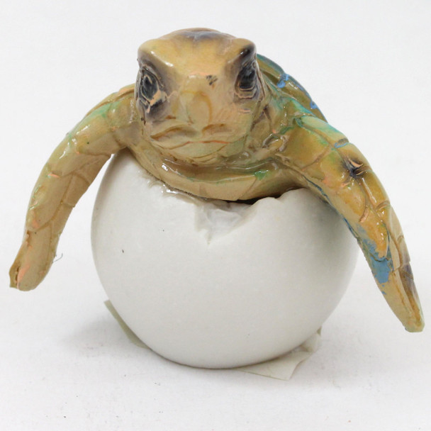 Sea Turtle Egg Emerging