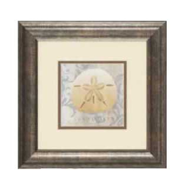 Sea Shell Framed Art Print 13" x 13" Sand Dollar – 1597-I