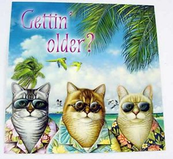 Cool Cats Birthday Card - BDS38290