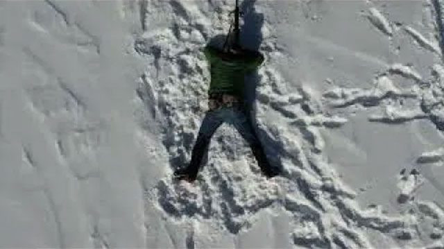 NATURAL POINT OF AIM