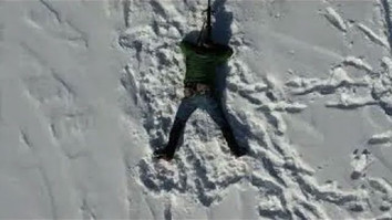 NATURAL POINT OF AIM