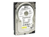 Western Digital WD800JD Caviar SE 80GB 3.5-inch SATA hard drive — top label view showing model and Dell part number NR694