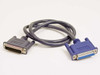 Iomega 2409100 Zip Drive parallel cable full view — DB25 male gray connector left, DB25 female blue connector right, 3-foot gray cable