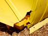 Eagle 1646RTC closeup of damaged lower cover corner — showing cracked and broken yellow polyethylene at base of rotary cover