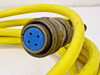 Close-up of female end MilSpec connector on yellow interconnect cable — 4-pin female with blue insert