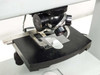 Large flat wafer stage and focus block area — metal wafer holder and guide on stage, coarse focus knob visible at right of microscope body