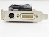 VisionTek Radeon HD 2400PRO bracket closeup — DVI-I port and S-Video Mini-DIN 9-pin output connector detail