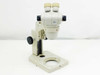 Nikon Binocular Microscope Head with Olympus Focus Block (SMZ-1)