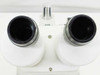 Generic White Binocular Microscope with Focus Block, Stand and 2x-4x Objective