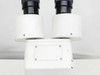 Generic White Binocular Microscope with Focus Block, Stand and 2x-4x Objective