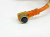 Lumberg RST3-RKMWV/LEDA3-90/2 M8 3-pole female 90-degree angle connector close-up showing pin receptacles