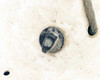 Robbins and Myers CG16 fan — close-up of rotary speed selector knob showing position markings including Off position