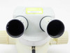 Wild Heerbrugg Microscope Head with Leica MZ6 0.63x-4x Zoom, Olympus Focus Block