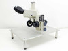 Nikon Microscope with Stand