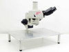 Nikon Microscope with Stand
