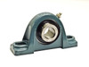 Dodge P2B-SCM-100 pillow block bearing side profile view showing cast iron housing, grease fitting on top, and ball bearing insert