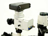 Olympus CK-2 Inverted Microscope Complete with X,Y Stage