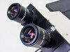 Olympus CK-2 Inverted Microscope with CWHK 10x18L Eyepieces and 2 Olympus Objectives
