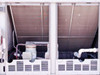 Trane CGAF-C20 interior top view — two condenser coil sections, compressor assemblies, refrigerant piping, and Schrader valve fittings visible