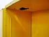 Generic 30 Gallon Flammable Liquid Storage Cabinet - yellow