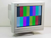 ViewSonic VCDTS23852-1M Graphics Series G220f 21" CRT Display