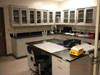 Laboratory Room Lab Cabinets Fume Hood Wet Laboratory