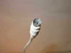 Dell AT101 keyboard – close-up of PS/2 connector (5-pin DIN) at end of coiled cable