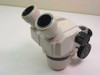 Nikon zoom head SMZ-1 Nikon SMZ-1 Stereo Microscope Zoom head with Holde