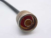 Generic Black 10" Cable w/ N-type Connectors