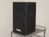 Laney CT815 PA speaker cabinet — 3/4 front-left view showing black carpet-covered enclosure with grille-covered 15" woofer and Laney logo
