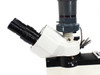 Cambridge Instruments 2572 Stereo Microscope with Light Source Eye Piece and Objectives