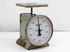 Hanson Brothers 1000g mechanical spring scale – front three-quarter view showing dial face with 0–1000g range
