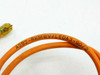 Lumberg ASB2 Lot of 4 DAMAGED Automation Cables - M12 4-Pole M8 Splitter - As Is