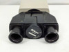 Nikon binocular microscope head – front view showing both 23mm eyepiece tube openings and interpupillary dial