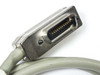 Close-up of second straight 24-pin Micro-Ribbon GPIB connector end showing gold pin contacts inside metal housing