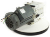 Leybold Trivac D8B vacuum pump — rear-left view showing Marathon Electric motor fan end with bare wire leads and pump body exhaust port side
