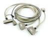 HASO system interconnect cables — multi-conductor bundle with high-density D-sub and standard D-sub connectors at each end