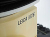 Close-up of Leica MZ6 label on microscope body showing 'LEICA MZ6' model designation