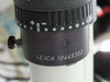 Close-up of Leica microscope body label showing part number 'LEICA 10445302' on the focus/zoom barrel
