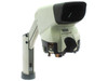 Vision Engineering Mantis stereo microscope — three-quarter front view showing eyepieceless head, articulating arm, and MANTIS logo badge